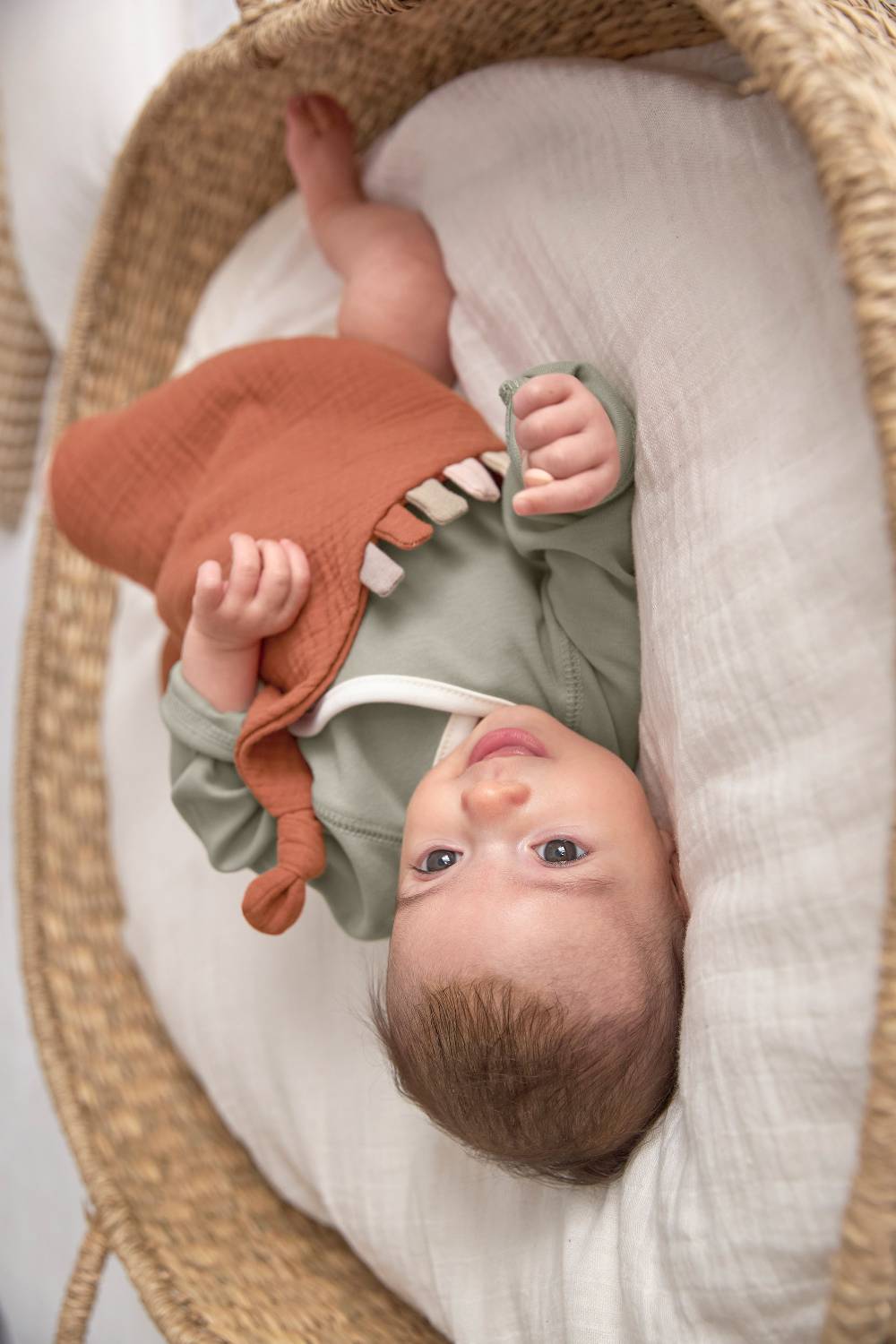 Lässig Baby Body (2er Set) langarm - Bio Baumwolle, Blau Limitierter Zeitrabatt