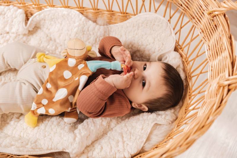 NICI Schmusetuch Kuh mit Beißring und Schnullerbefestigung Fabrikpreis