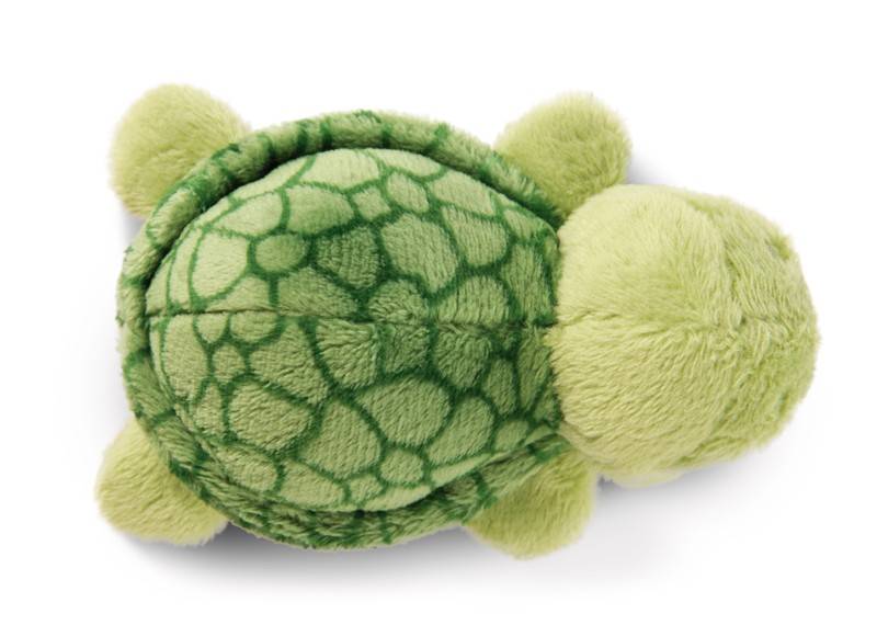 NICI Magnettier Schildkröte Tateus NICI GREEN Bis zu 65% Rabatt