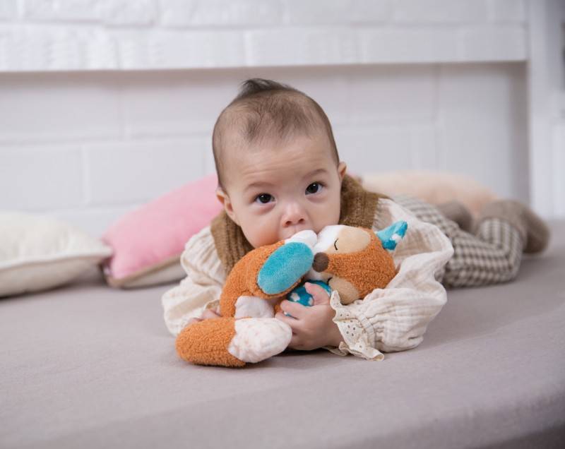 NICI Kuscheltier Gans Gilli Hotsell