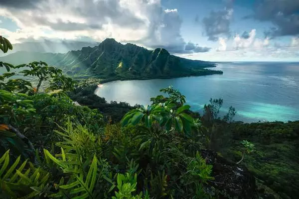 Ravensberger Matratzen Puzzle 5000 Teile - Atemberaubendes Hawaii Blitzangebot