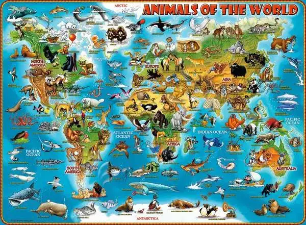 Ravensberger Matratzen Kinderpuzzle ab 9 Jahren - Tiere rund um die Welt - 300 Teile Black Friday Preise