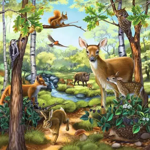 Ravensberger Matratzen Kinderpuzzle ab 5 Jahren - Wald-/Zoo-/Haustiere - 49 Teile Cyber Monday