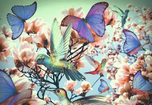 Ravensberger Matratzen Puzzle 300 Teile - Hummingbird Valentinstagsangebot