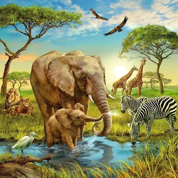 Ravensberger Matratzen Kinderpuzzle ab 5 Jahren - Tiere der Erde - 49 Teile Bis zu 60% Rabatt
