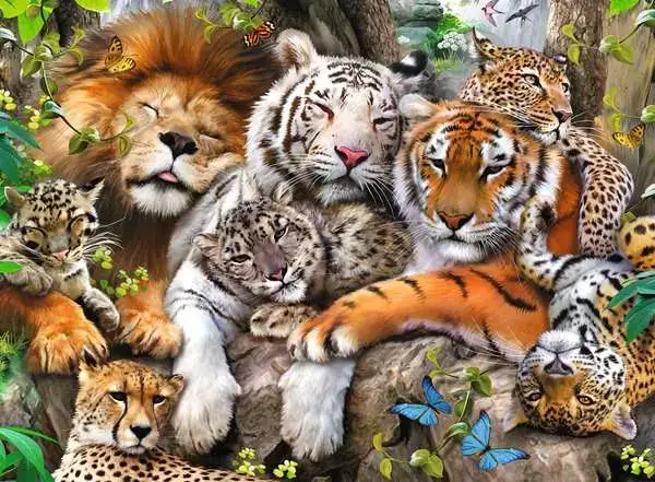 Ravensberger Matratzen Kinderpuzzle ab 8 Jahren - Schmusende Raubkatzen - 200 Teile Neueste Mode