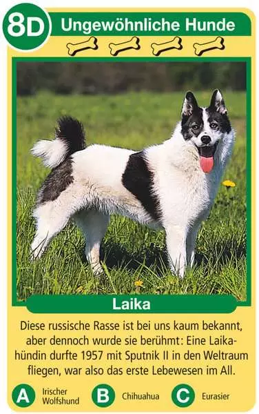 Ravensberger Matratzen Hunde - Kartenspiel ab 4 Jahren Jubiläumsangebot