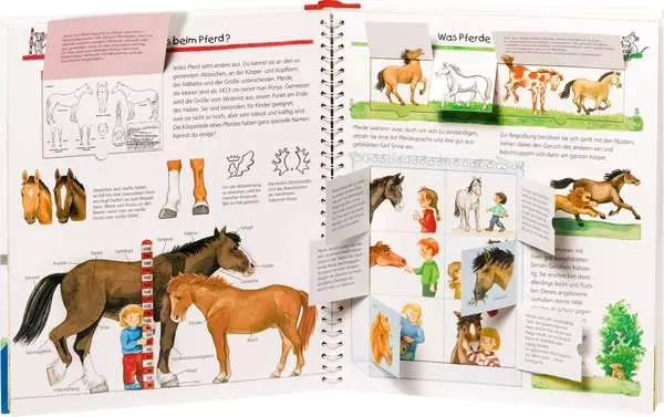 Ravensberger Matratzen Ravensburger Wieso? Weshalb? Warum?, Band 21: Alles über Pferde und Ponys Große Rabatte