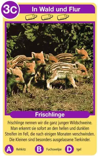 Ravensberger Matratzen Tierkinder - Kartenspiel ab 4 Jahren Kostenloser Versand international