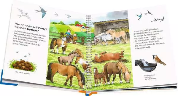 Ravensberger Matratzen Ravensburger Wieso? Weshalb? Warum? junior, Band 20: Das Pony Exklusive Angebote