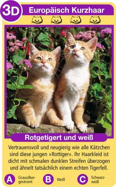 Ravensberger Matratzen Katzen - Kartenspiel ab 4 Jahren Vierteljährliche Förderung