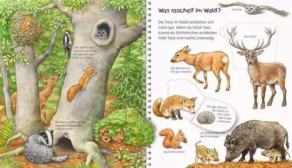 Ravensberger Matratzen Ravensburger Wieso? Weshalb? Warum? Mein junior-Lexikon: Tiere Kostenloser Versand international