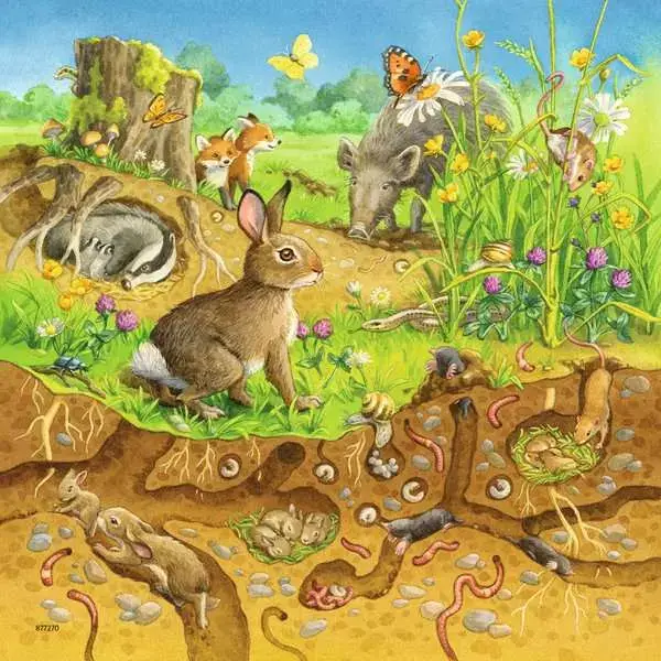 Ravensberger Matratzen Kinderpuzzle ab 5 Jahren - Tiere in ihren Lebensräumen - 49 Teile Exklusive Angebote