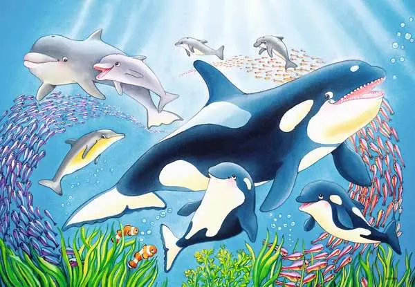 Ravensberger Matratzen Kinderpuzzle ab 4 Jahren - Kunterbunte Unterwasserwelt - 24 Teile Große Rabatte