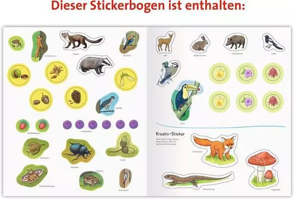Ravensberger Matratzen Ravensburger Wieso? Weshalb? Warum? aktiv-Heft: Wald Saisonale Angebote
