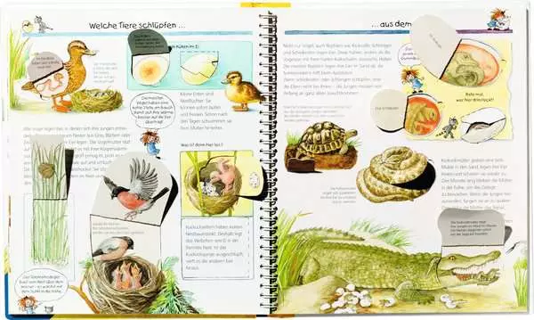 Ravensberger Matratzen Ravensburger Wieso? Weshalb? Warum?, Band 33: Tiere und ihre Kinder Super Sparpreis