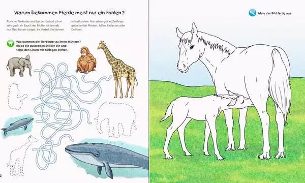 Ravensberger Matratzen Ravensburger Wieso? Weshalb? Warum? aktiv-Heft: Tierkinder Super Rabatt