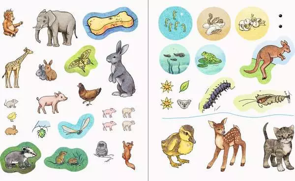 Ravensberger Matratzen Ravensburger Wieso? Weshalb? Warum? aktiv-Heft: Tierkinder Super Rabatt