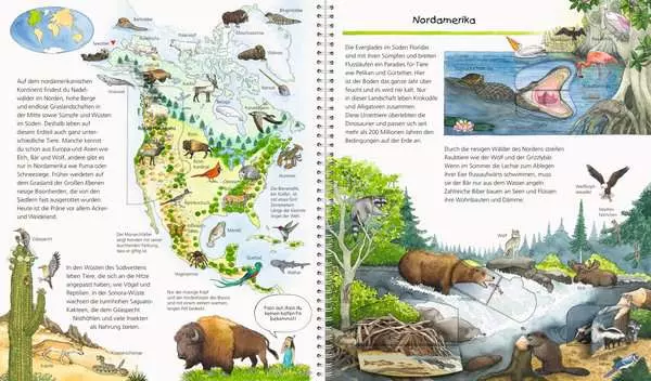 Ravensberger Matratzen Ravensburger Wieso? Weshalb? Warum?: Mein großer Tieratlas Neuheiten