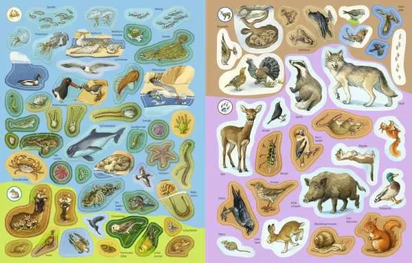 Ravensberger Matratzen Ravensburger Wieso? Weshalb? Warum? Stickerheft: Heimische Tiere Letzter Tag