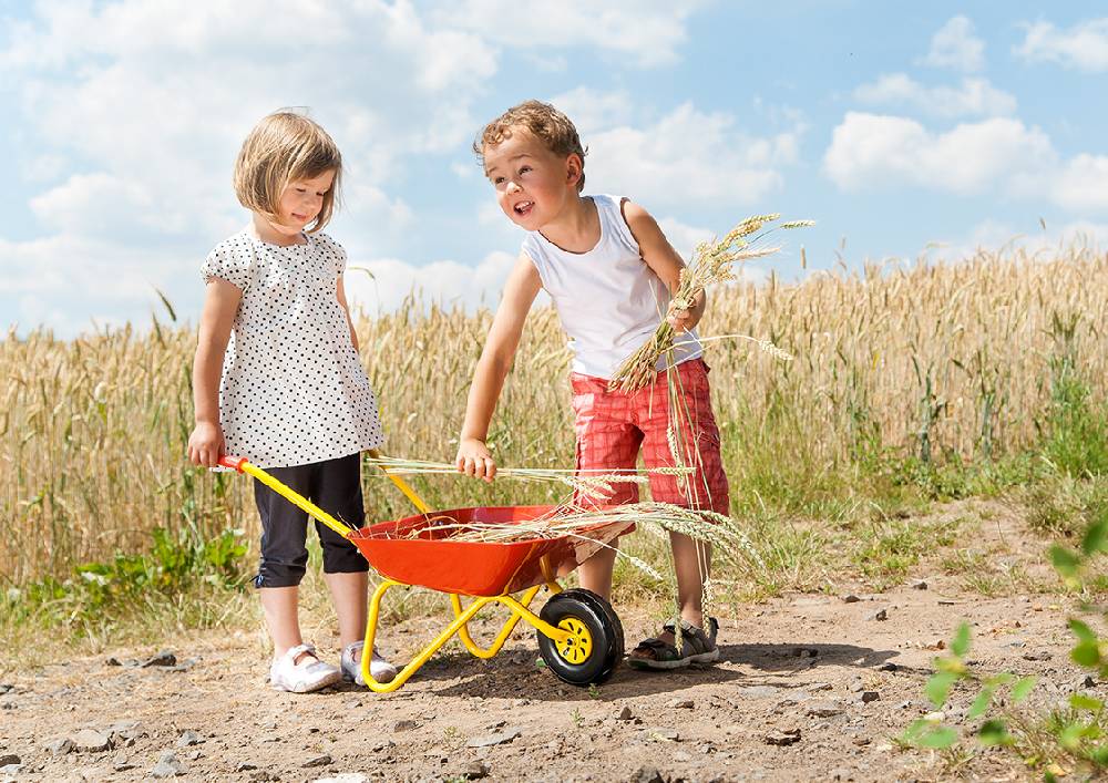 Rolly Toys rollyMetallschubkarre Meist gekauft
