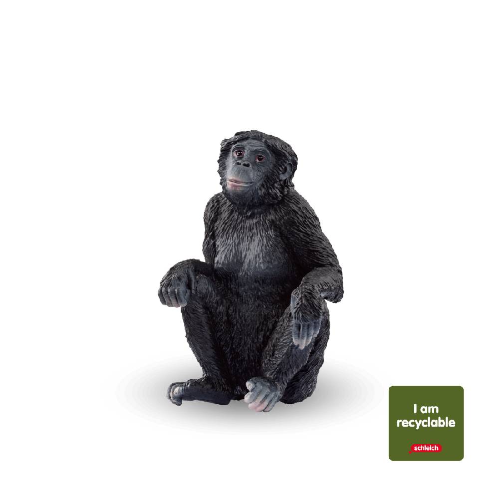 Schleich Bonobo Weibchen (circular)