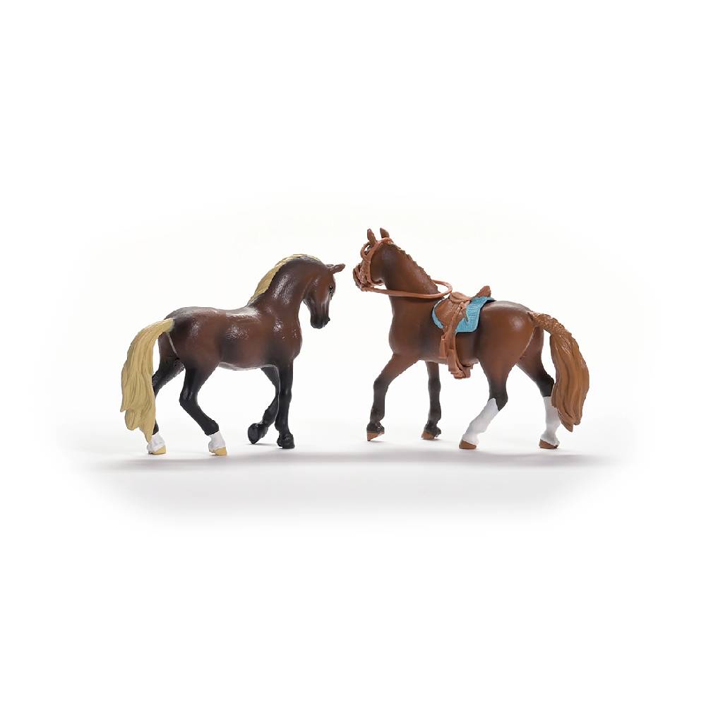Schleich HORSE CLUB Paso Peruano Starter-Set Begrenzt auf 3 Tage