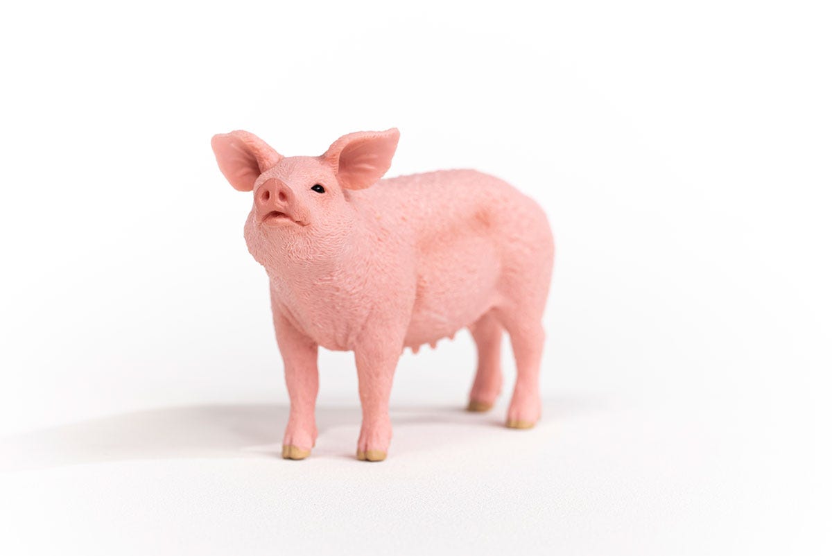 Schleich Schwein Große Rabatte