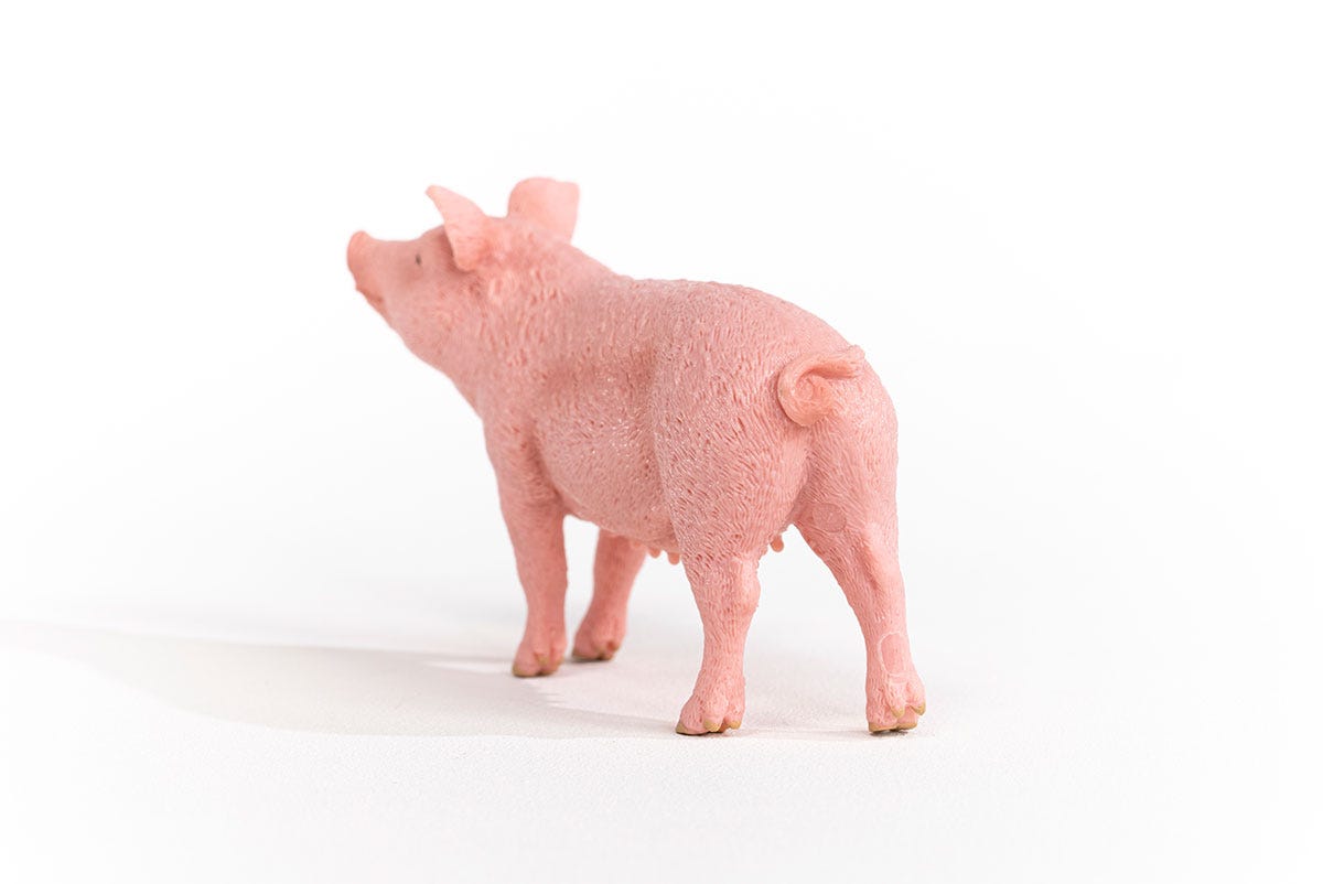 Schleich Schwein Große Rabatte