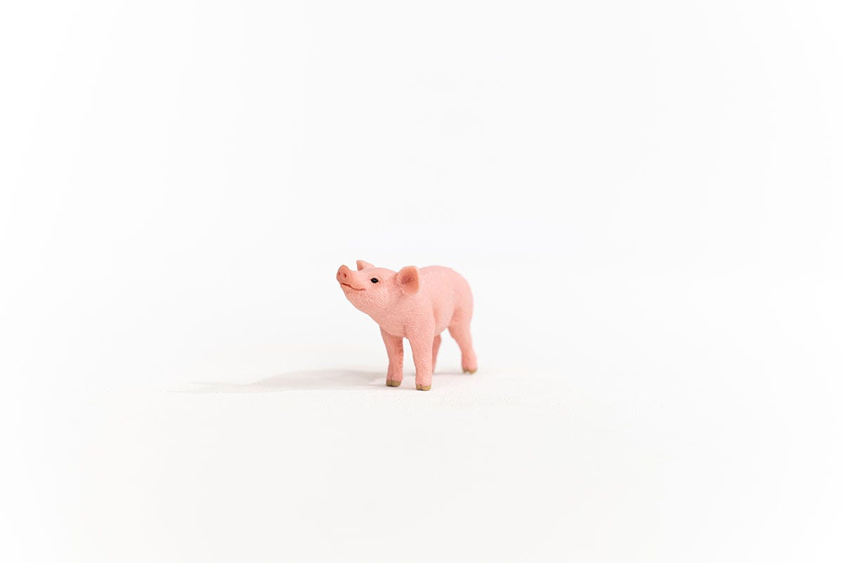 Schleich Ferkel Kauf eins, bekomm eins gratis