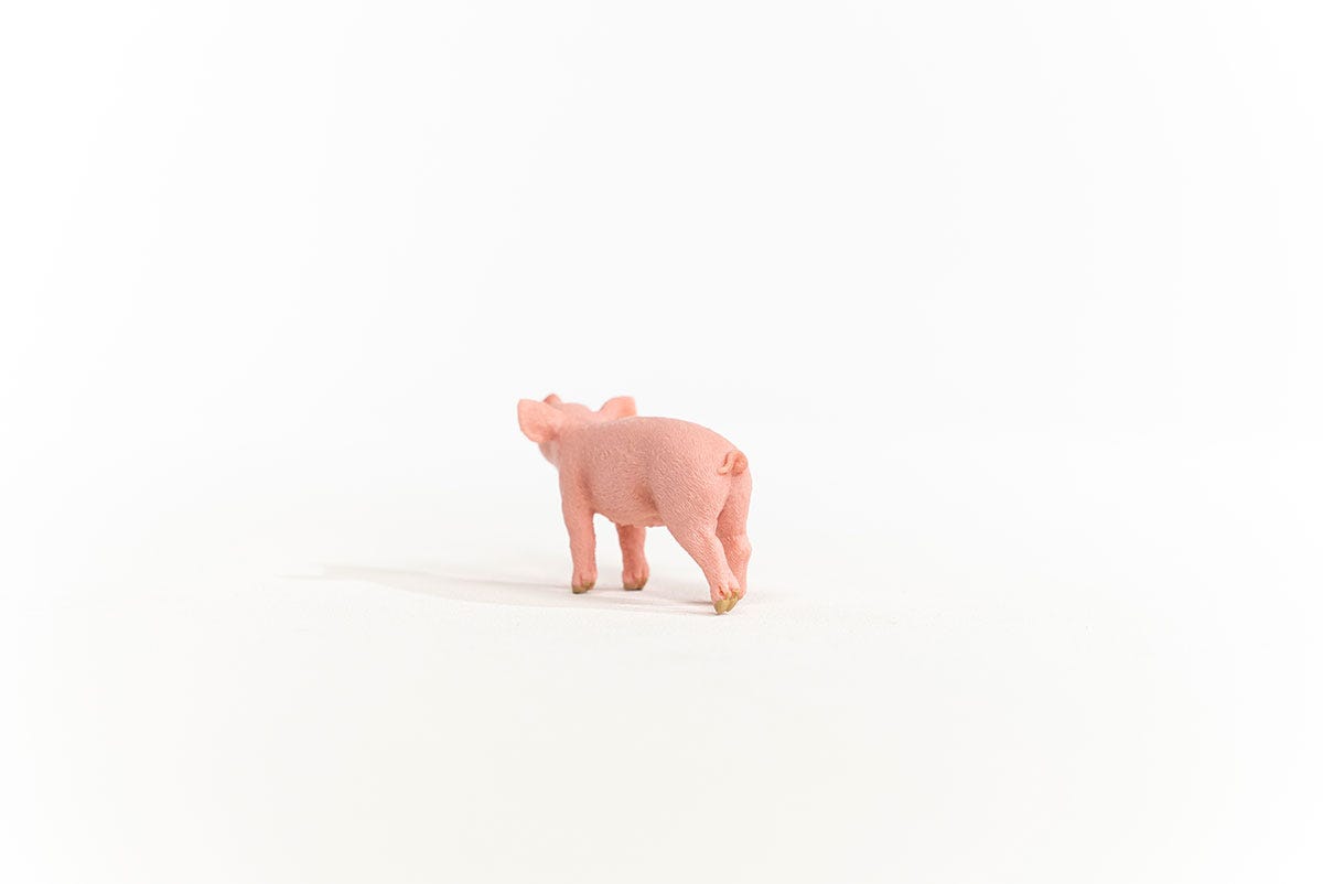 Schleich Ferkel Kauf eins, bekomm eins gratis
