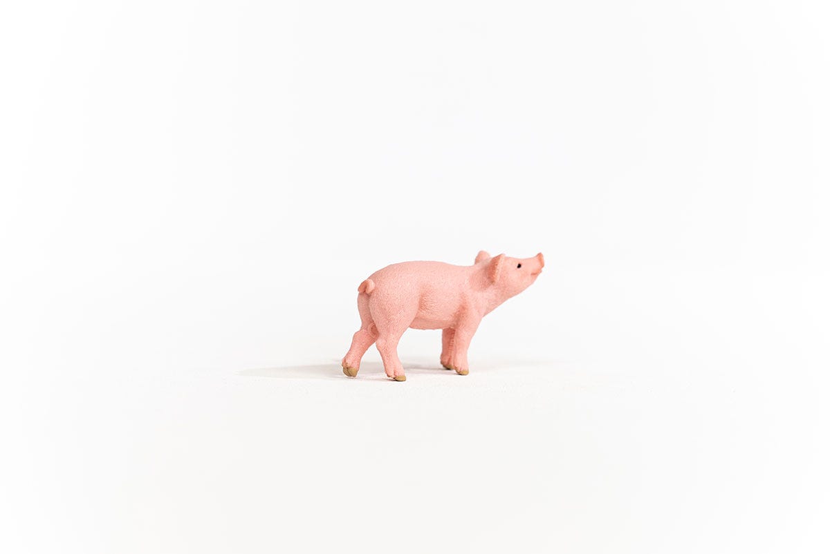 Schleich Ferkel Kauf eins, bekomm eins gratis