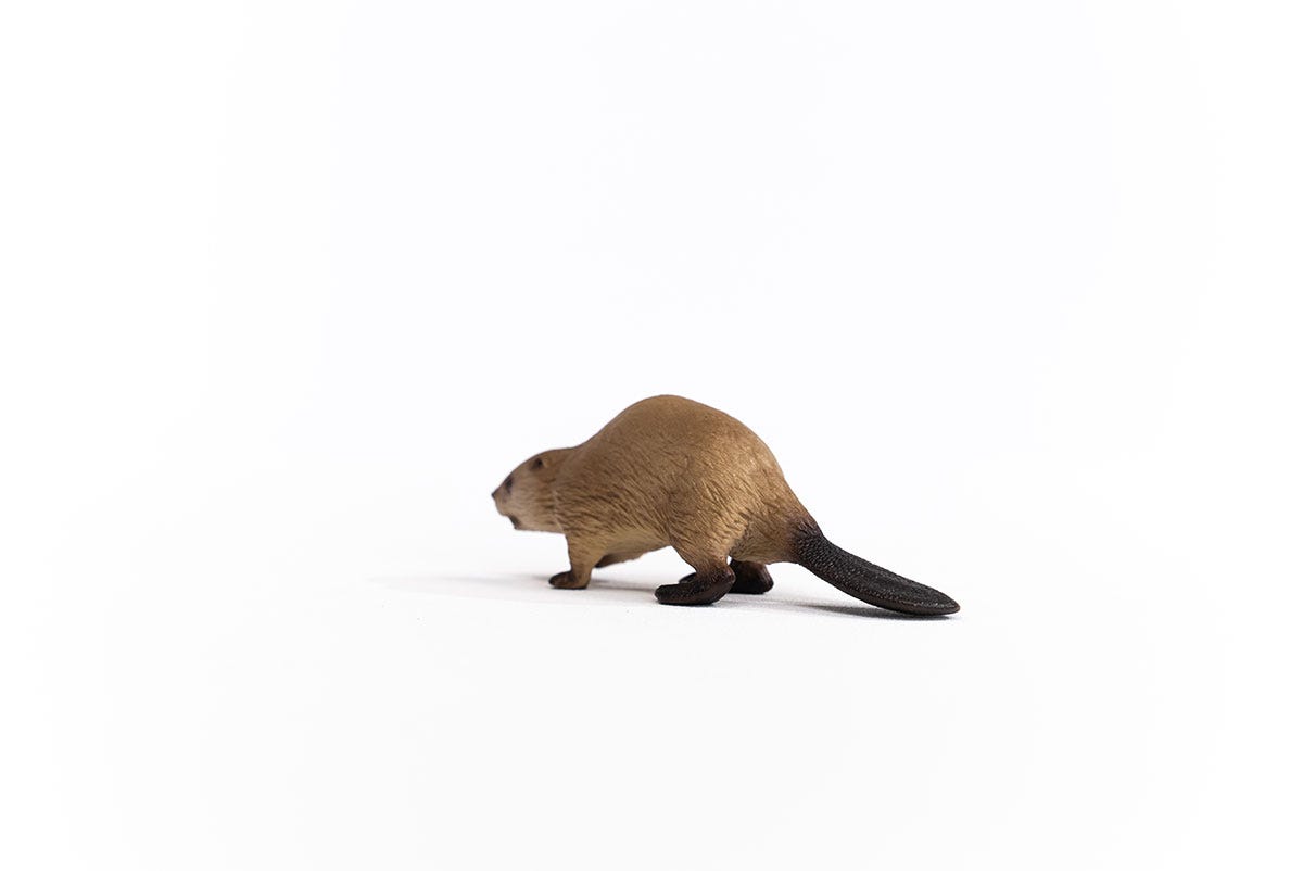 Schleich Biber Online Shopping