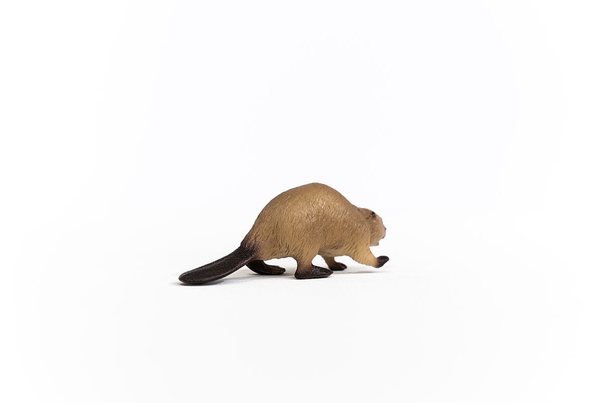 Schleich Biber Online Shopping