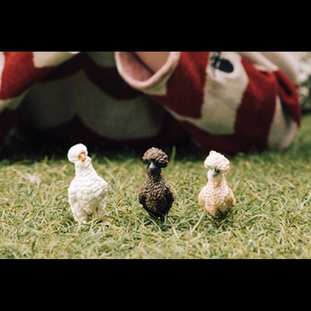 Schleich Hühnerfreunde Jubiläumsangebot