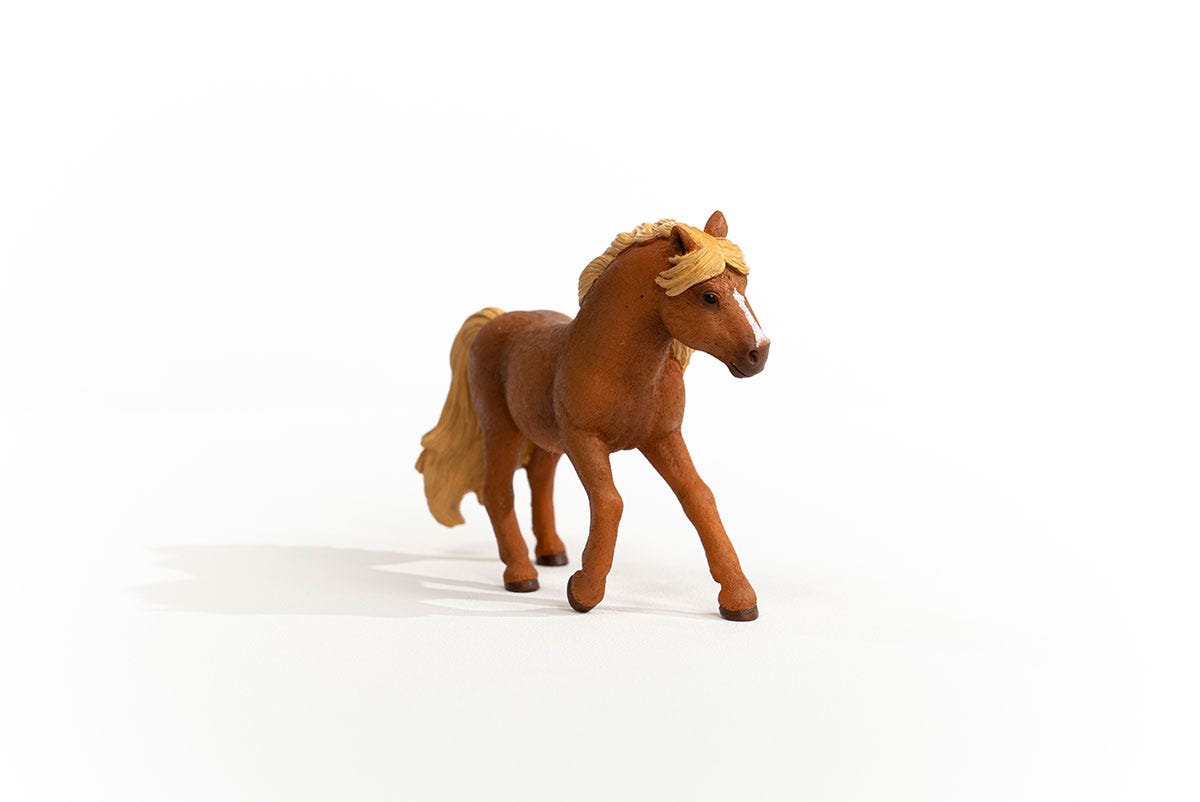 Schleich Island Pony Hengst Vierteljährliche Förderung
