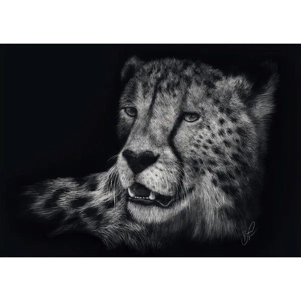 Schmidt Spiele Ashley Rader: Speed - Gepard, im Zeichen der Anmut, 1.000 Teile Puzzle Exklusive Angebote
