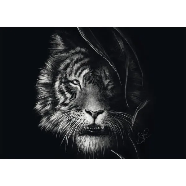 Schmidt Spiele Ashley Rader: Wilderness – Tiger, Im Zeichen der Freiheit, 1.000 Teile Puzzle Blitzangebot