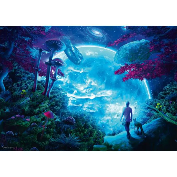 Schmidt Spiele Cameron Gray: Himmelsfantasie, 1.000 Teile Puzzle Sonderangebot der Fabrik