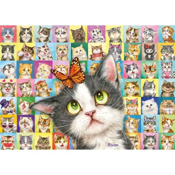 Schmidt Spiele Katzen-Mimik, 1.000 Teile Puzzle Outlet