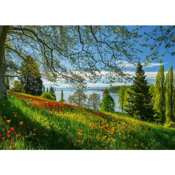 Schmidt Spiele Frühlingsallee zur Tulpenblüte, Insel Mainau, 1.000 Teile Puzzle Bis zu 60% Rabatt