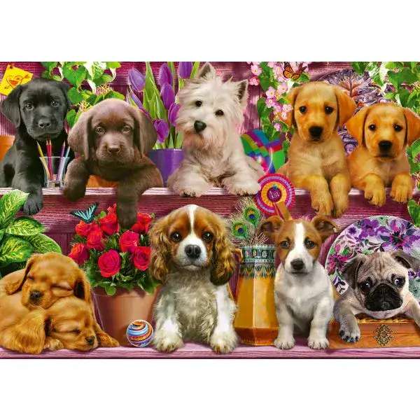 Schmidt Spiele Hunde im Regal, 500 Teile Puzzle Kostenloser Versand international