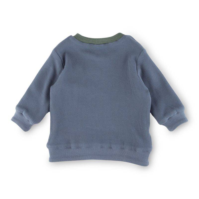 Sigikid Baby Langarm Wendeshirt, blau oder grün-weiß geringelt Online