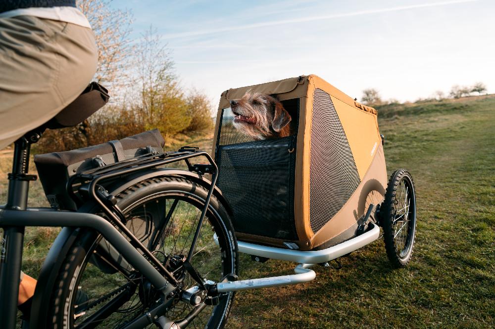 babymarkt Hundefahrradanhänger Dog Tammo Moss green 50% Rabatt mit kostenlosem Versand