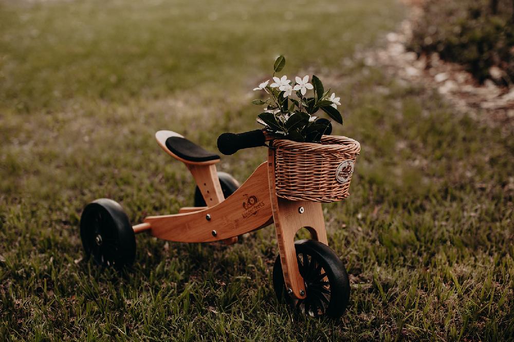 babymarkt 2-in-1 Dreirad Tiny Tot Plus Bambus Super Sparpreis