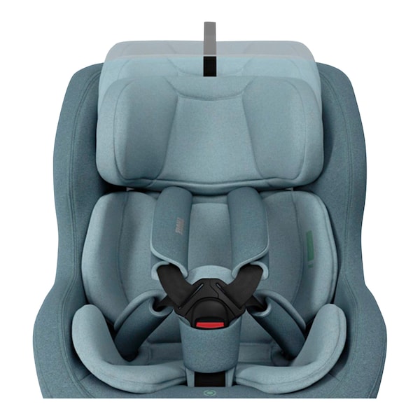 babywalz ThuleKindersitz Elm Toddler Begrenztes Angebot