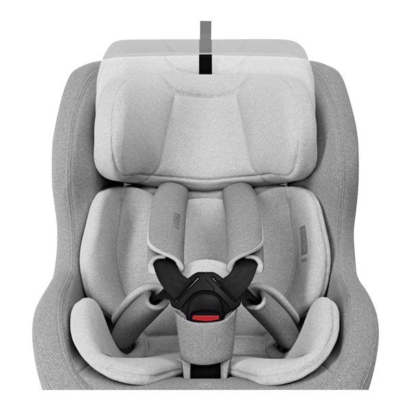 babywalz ThuleKindersitz Reboarder Elm Black Friday