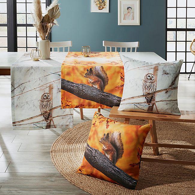 babybutt Erwin Müller Kissenhülle "Eichhörnchen" Top Angebot