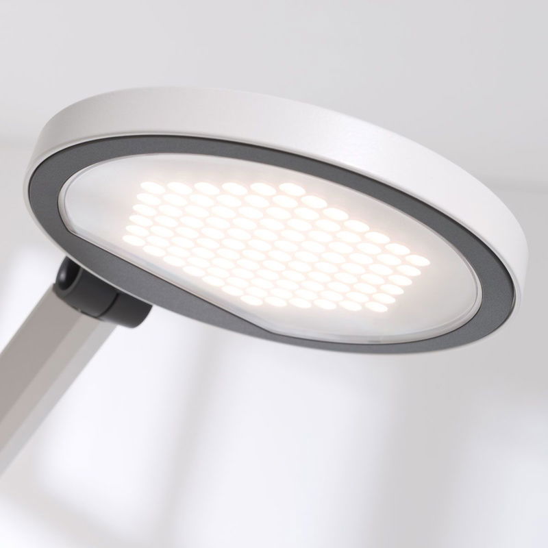 babyonlineshop Paidi Schreibtischleuchte Para.Mi LED-Leuchte mit stufenloser Dimmfunktion Schlussverkauf